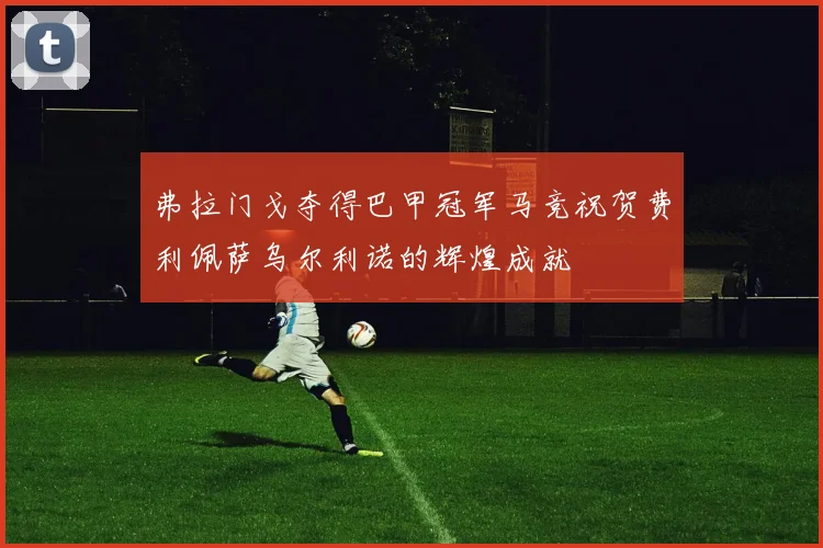 弗拉门戈夺得巴甲冠军马竞祝贺费利佩萨乌尔利诺的辉煌成就