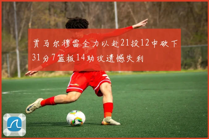 贾马尔穆雷全力以赴21投12中砍下31分7篮板14助攻遗憾失利