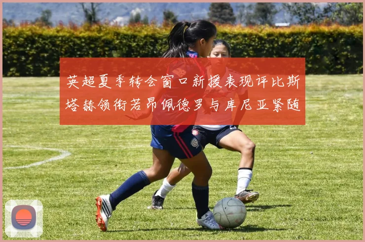 英超夏季转会窗口新援表现评比斯塔赫领衔若昂佩德罗与库尼亚紧随其后