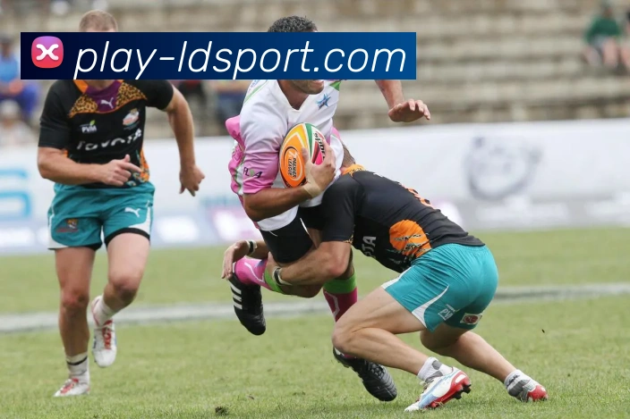 乐动体育APP 封面图